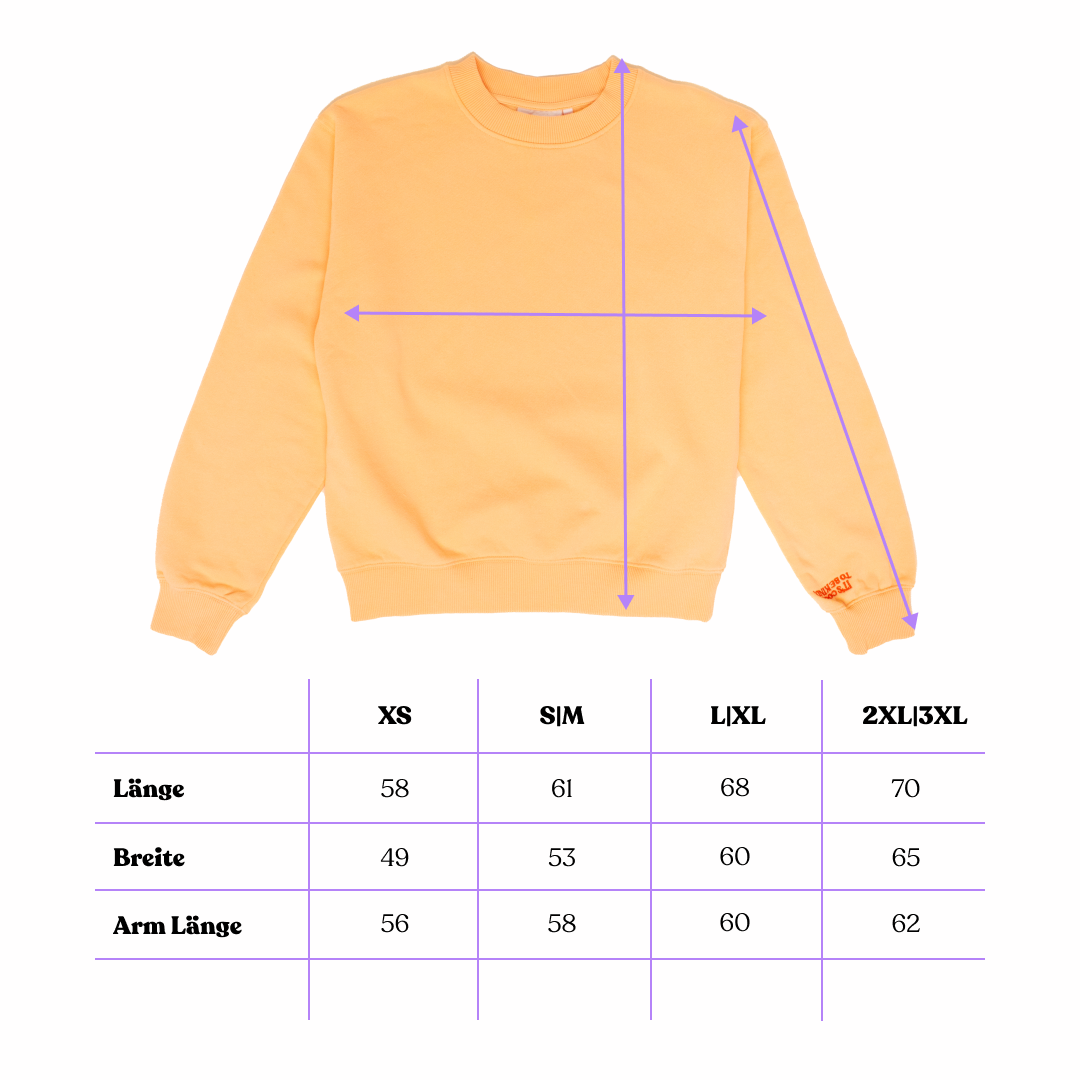 Kindness Sweater Set in Apricot