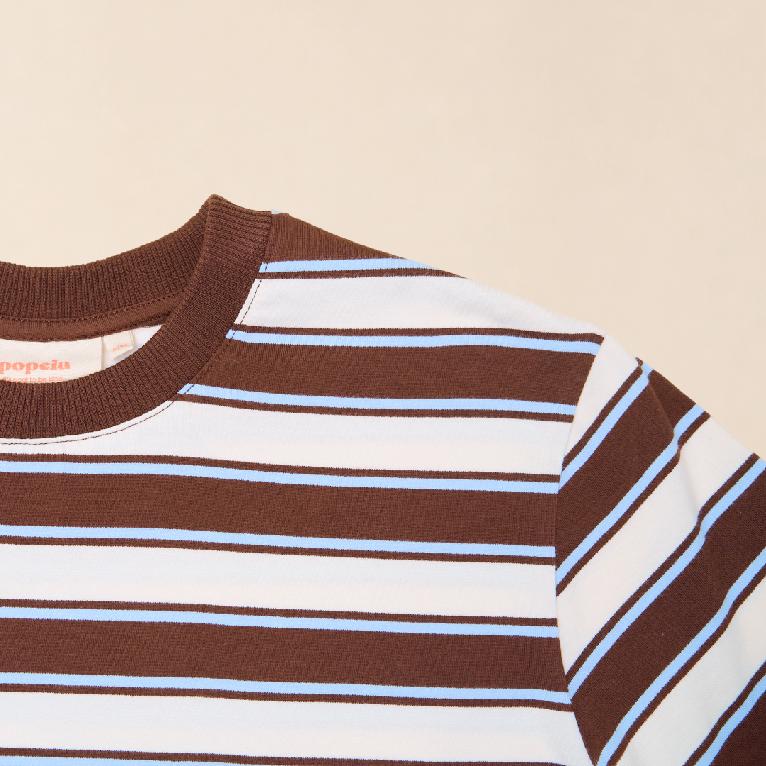 Organic Cotton T-Shirt (Striped) in Brown/Light Blue