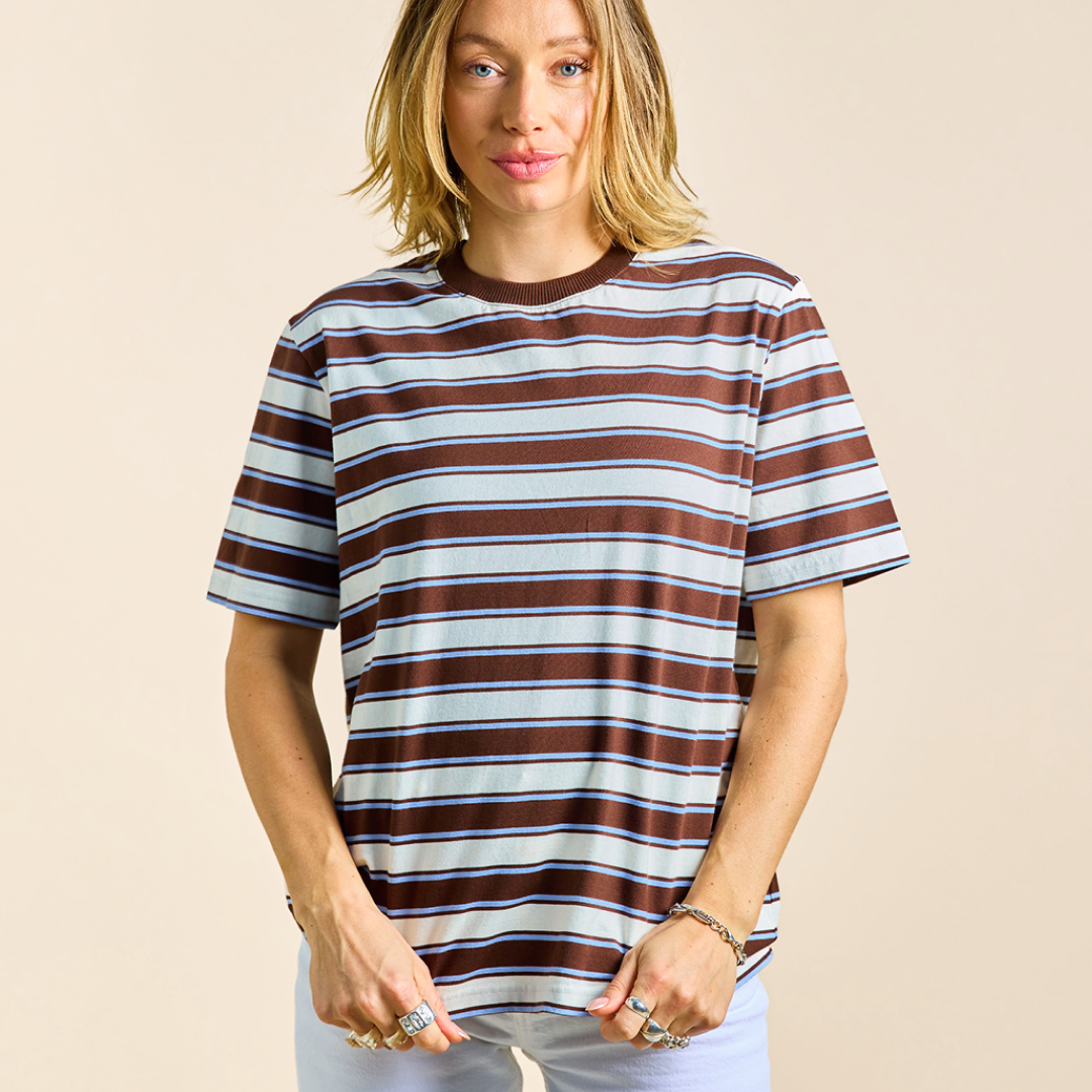 Organic Cotton T-Shirt (Striped) in Brown/Light Blue